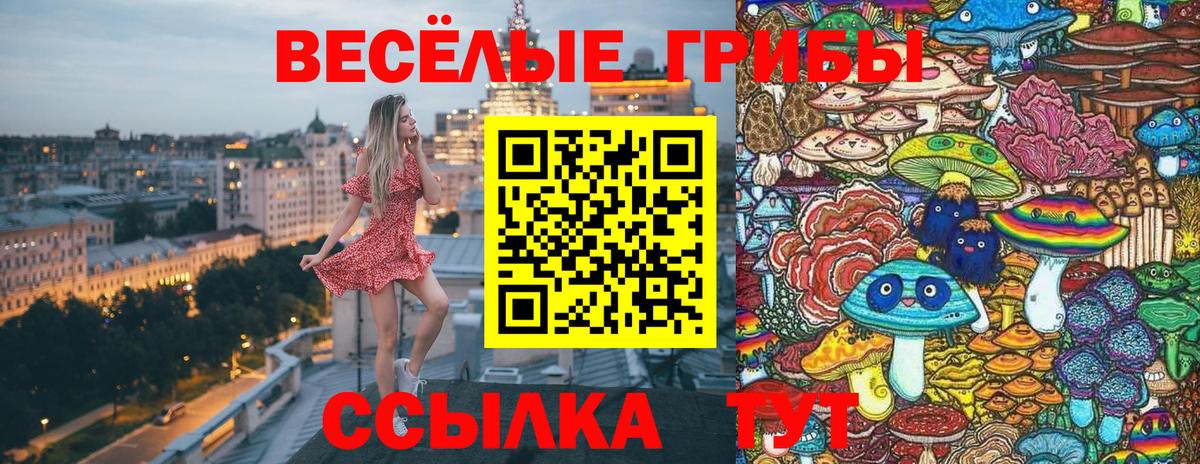 Псилоцибиновые грибы мухоморы  Вход с VPN  Магадан 